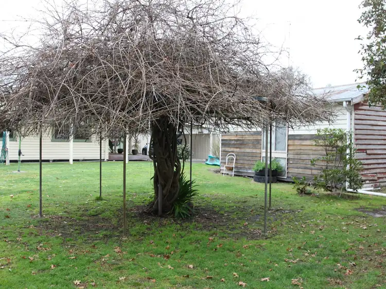 Third view of Homely house listing, 1361 Taggerty-Thornton Road, Thornton VIC 3712