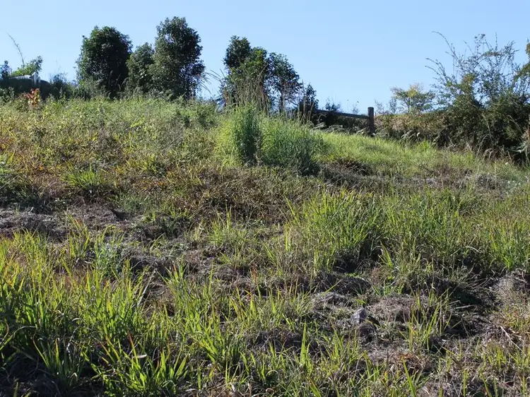 Third view of Homely land listing, 3 Red Gum Crescent, Bellingen NSW 2454