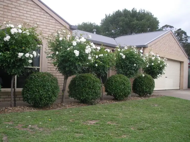 Fourth view of Homely house listing, 34 Hastings Avenue, Mount Gambier SA 5290