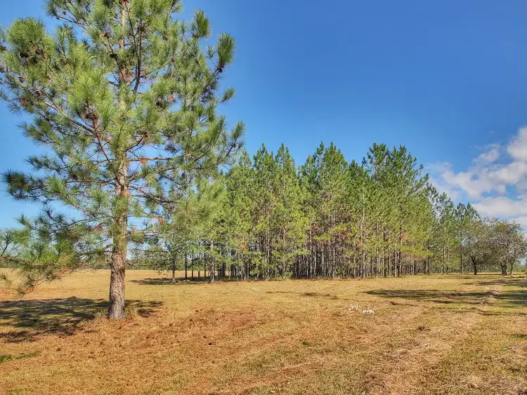 Sixth view of Homely land listing, 97 Greenvale Road, Chambers Flat QLD 4133