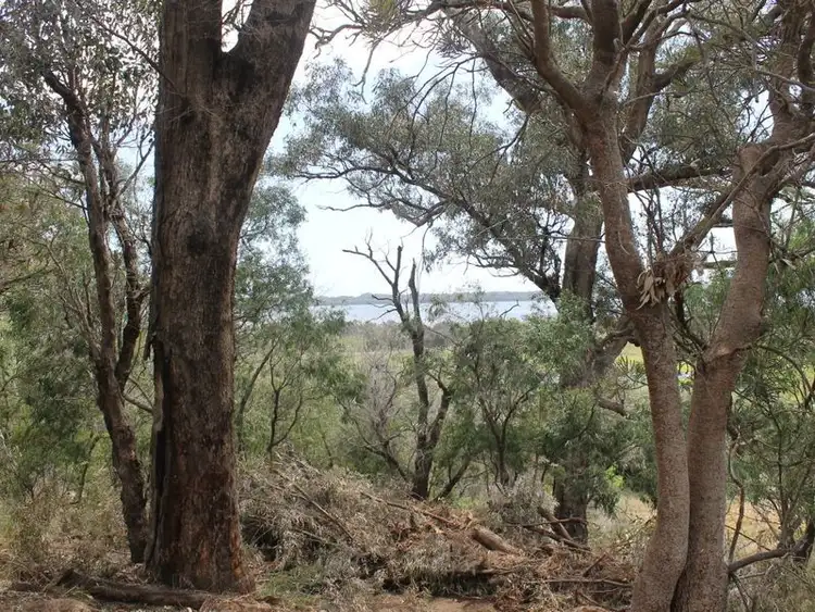 Seventh view of Homely land listing, 31 Wildflower Way, Leschenault WA 6233