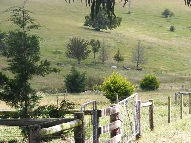 Third view of Homely rural property listing, 185 Shorts Road, Elliminyt VIC 3250