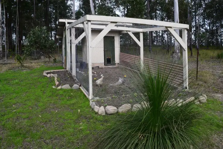 Sixth view of Homely rural property listing, 272 Black Mountain Road, Nymboida NSW 2460