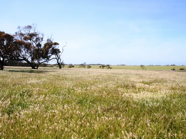 Third view of Homely land listing, Lot 16 Bublacowie Road, Yorketown SA 5576
