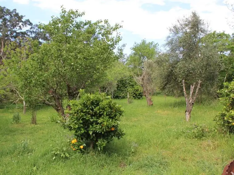 Seventh view of Homely rural property listing, 111 Spencers Road, Angledale NSW 2550