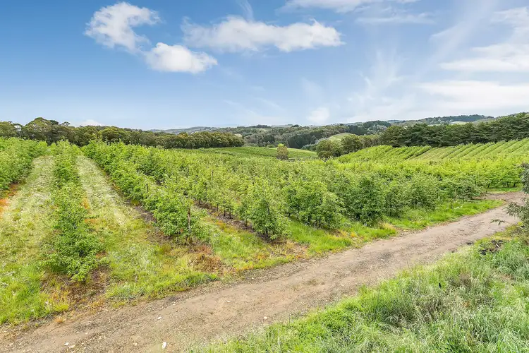 Fifth view of Homely land listing, 130 Coldstore Road, Lenswood SA 5240
