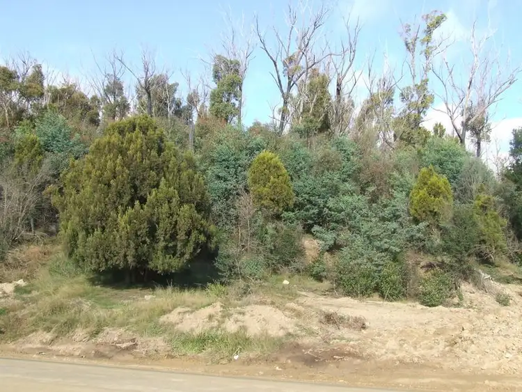 Fifth view of Homely land listing, 329 Upper Scamander Road, Scamander TAS 7215