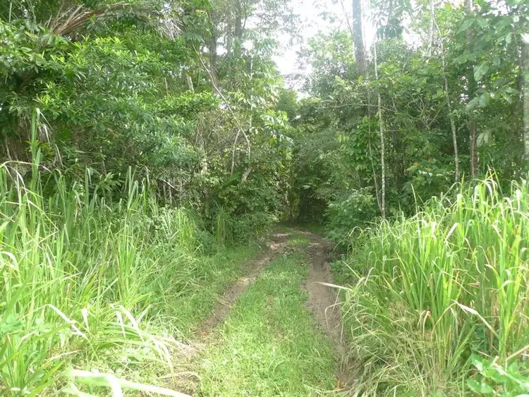 Seventh view of Homely land listing, Lot/2 Stewart Creek Road, Daintree QLD 4873