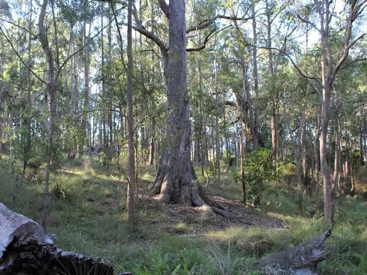 Seventh view of Homely land listing, 325 Wents Road, Numbugga NSW 2550