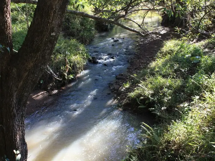 Fourth view of Homely rural property listing, 1 Settlement Road, Main Arm NSW 2482