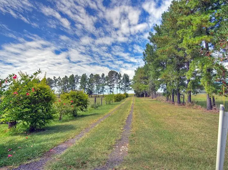 Fourth view of Homely rural property listing, 345 Fogwells Road, Yorklea NSW 2470