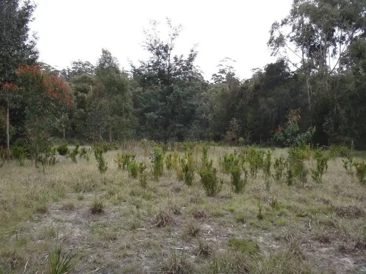 Fourth view of Homely land listing, 24673 Tasman Highway, St Helens TAS 7216