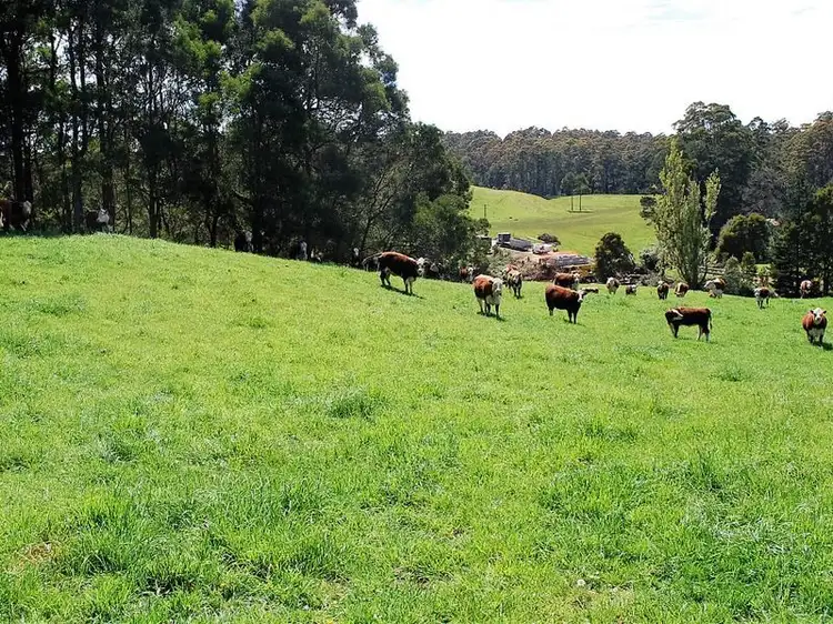 Seventh view of Homely land listing, . Lapoinya Road, Lapoinya TAS 7325