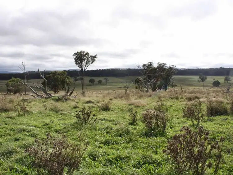 Seventh view of Homely rural property listing, Nine Mile Rd, Dundee NSW 2370