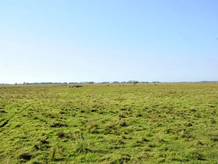 Second view of Homely rural property listing, Lots 175 & Syd Sutherlands Lane, Aldavilla NSW 2440