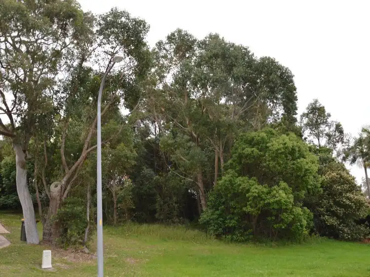 Main view of Homely land listing, 20 Swordfish Street, Nelson Bay NSW 2315