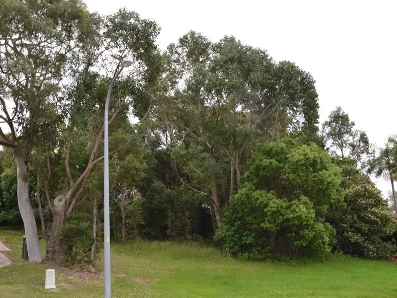 Main view of Homely land listing, 20 Swordfish Street, Nelson Bay NSW 2315