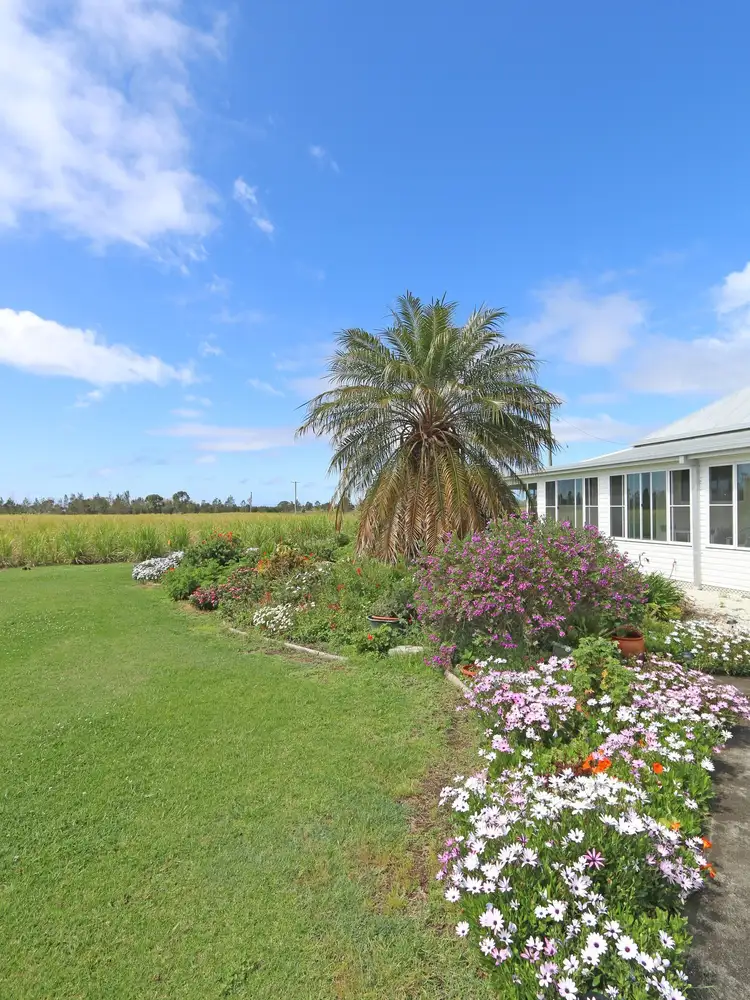 Third view of Homely house listing, 156 Amos Lane, Palmers Channel NSW 2463