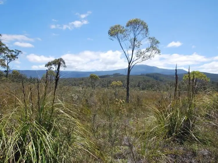 Second view of Homely land listing, Lune River Road, Lune River TAS 7109