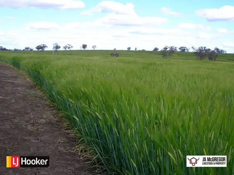 Fourth view of Homely rural property listing, Gragin Peak Road, Warialda NSW 2402
