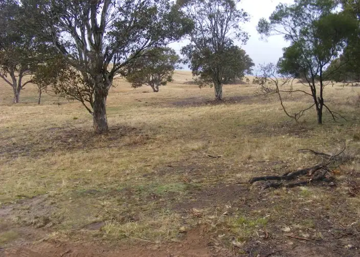 Sixth view of Homely rural property listing, 890 Brayton Road, Marulan NSW 2579
