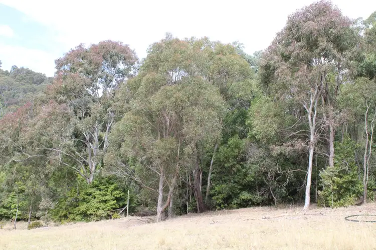 Third view of Homely land listing, 187 Black Range Road, Bega NSW 2550