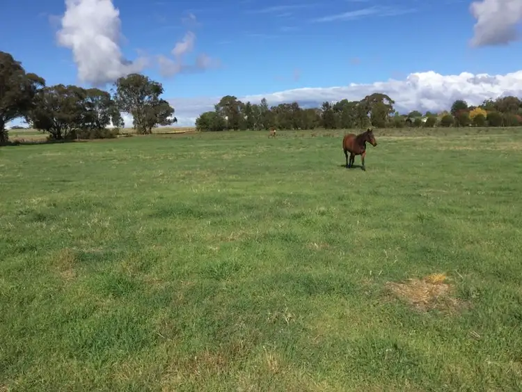 Fourth view of Homely land listing, 259 Camp Road, Cowra NSW 2794