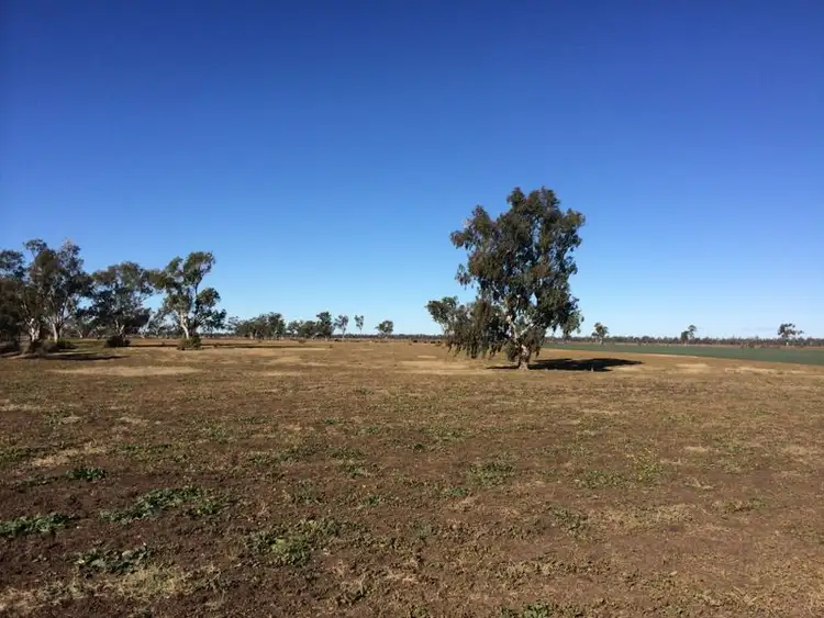 Fifth view of Homely house listing, 'Tamerine' Gwydirfield Road, Moree NSW 2400