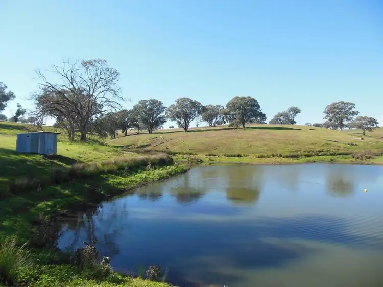 1341 Geegullalong Rd, Young NSW 2594