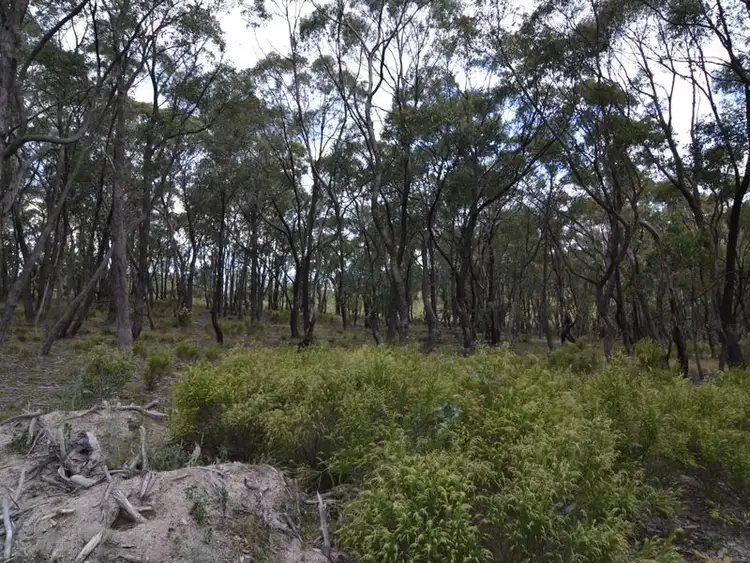 Seventh view of Homely rural property listing, 27 Arcadia Place, Meadow Flat NSW 2795