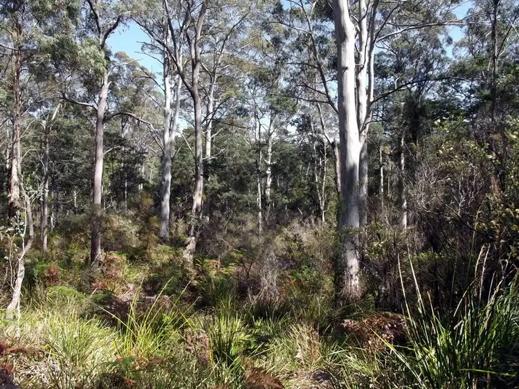 Fifth view of Homely land listing, Lot 1 Terryvale Road, Goshen TAS 7216