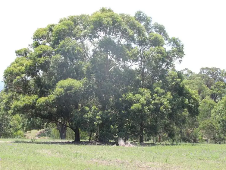 Third view of Homely land listing, Lot 3 Silby Road, Bega NSW 2550