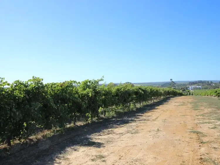 Fifth view of Homely house listing, 20 McLaren Flat Road, Mclaren Flat SA 5171