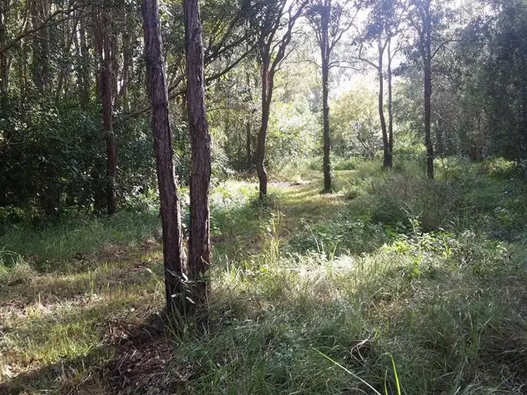 Third view of Homely rural property listing, 405 Old Cleveland Road East (Tom Place), Birkdale QLD 4159