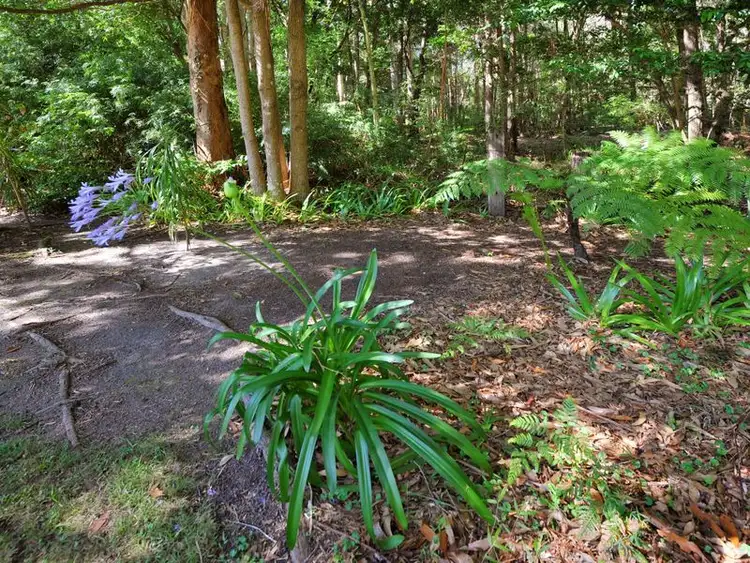 Fourth view of Homely house listing, 22 Priory Parade, Valla NSW 2448