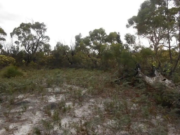 Third view of Homely land listing, LOT 14 Tasman Highway, Scamander TAS 7215