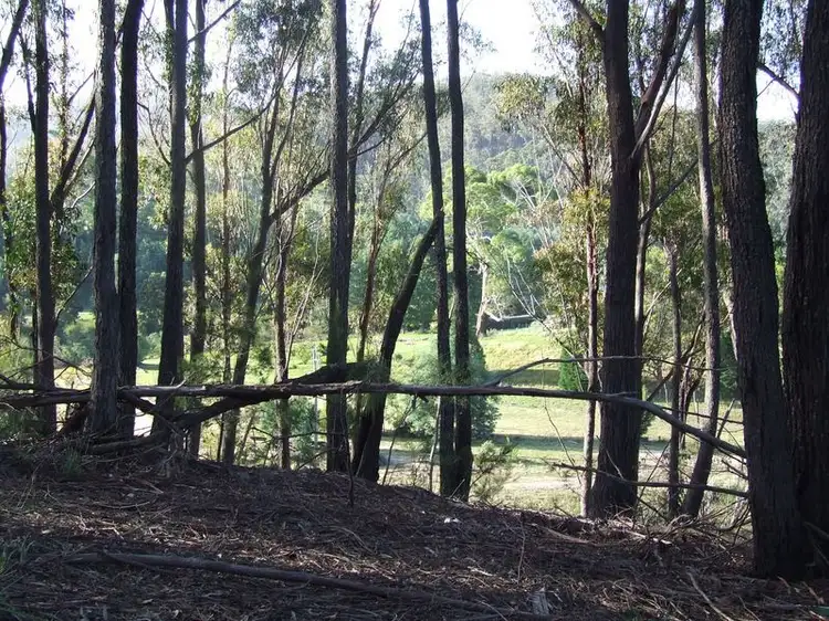 Second view of Homely land listing, Lot 1 Upper Scamander Road, Beaumaris TAS 7215