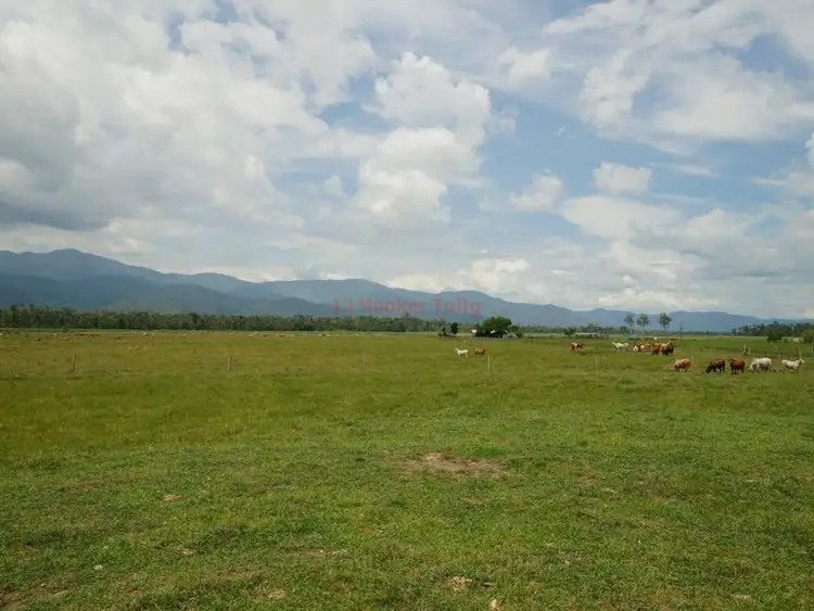 Third view of Homely rural property listing, 320 Bluff Road, Bilyana QLD 4854