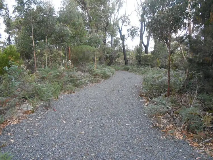 Second view of Homely land listing, LOT 14 Tasman Highway, Scamander TAS 7215