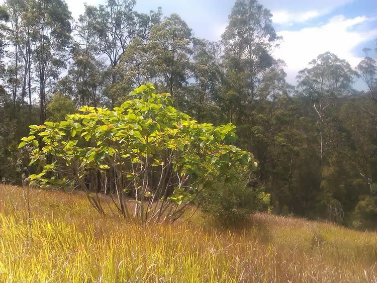 Sixth view of Homely land listing, 129 Bibaringa Road, Nymboida NSW 2460