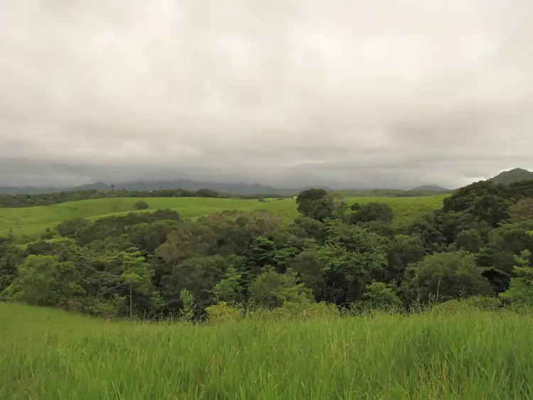 Fourth view of Homely land listing, Lot 3 Nine Mile Road, Julatten QLD 4871