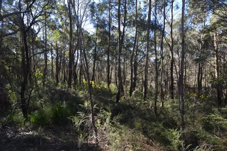 Second view of Homely rural property listing, 46 - 70 Bells Line Of Road, Bell NSW 2786