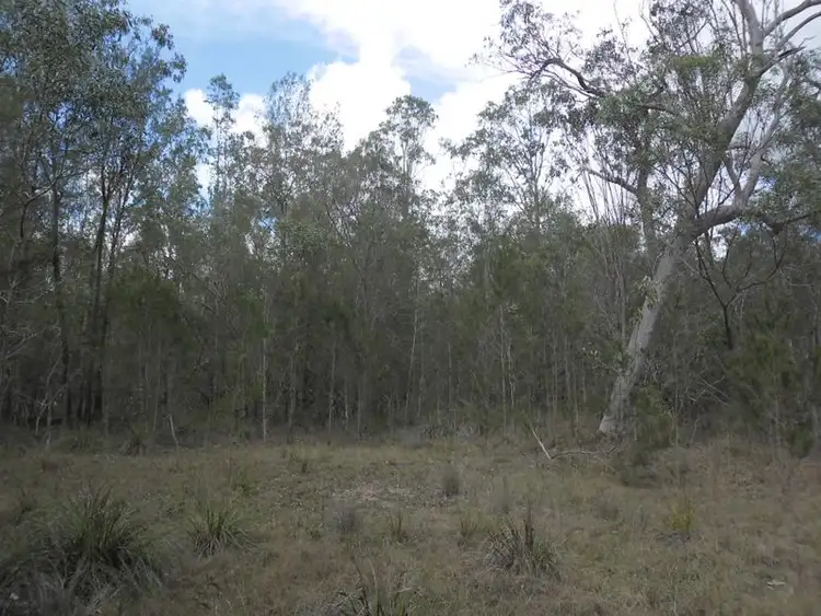 Sixth view of Homely rural property listing, 6275 Summerland Way Camira, Casino NSW 2470