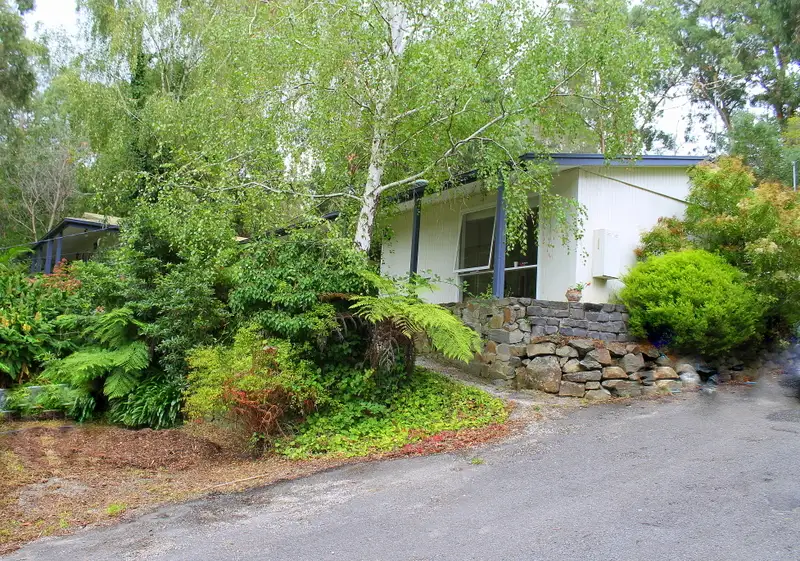 Main view of Homely house listing, 77 Temple Road, Selby VIC 3159