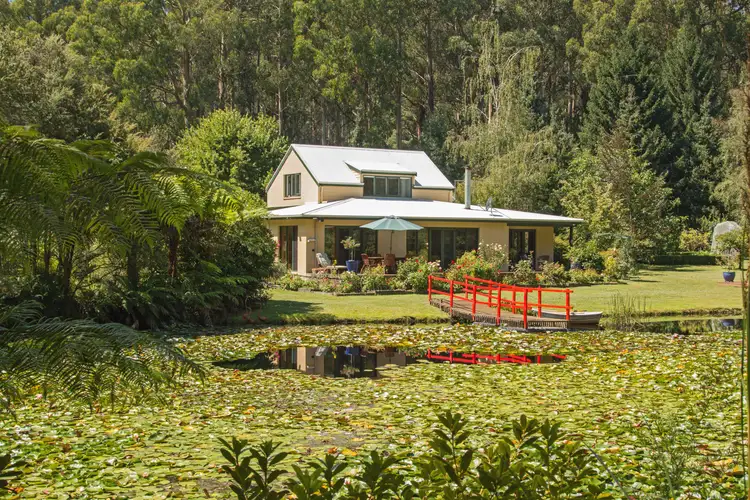 Main view of Homely rural property listing, 69 Cherry Lane, Toolangi VIC 3777