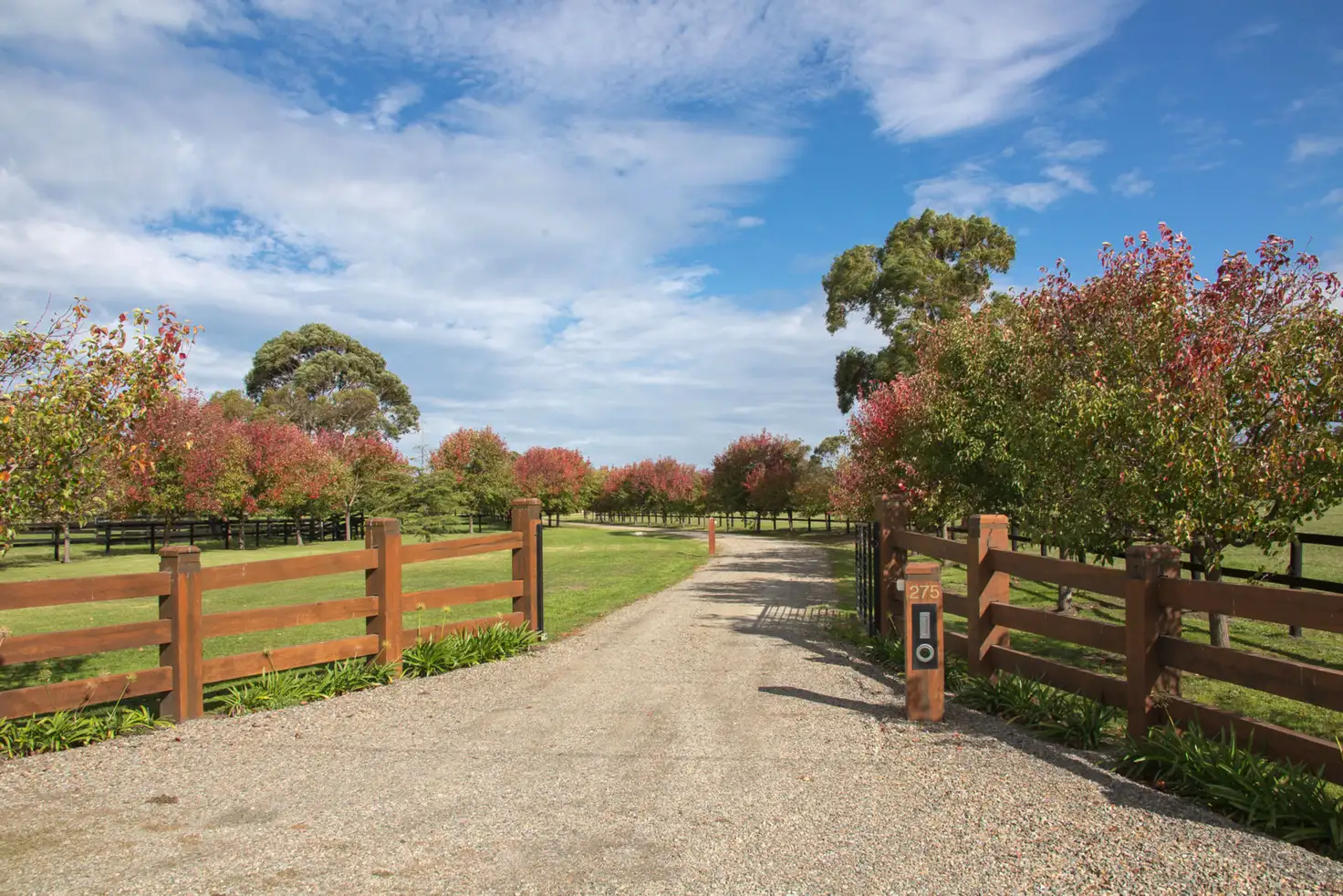 Main view of Homely house listing, 275 Mornington-Tyabb Road, Moorooduc VIC 3933
