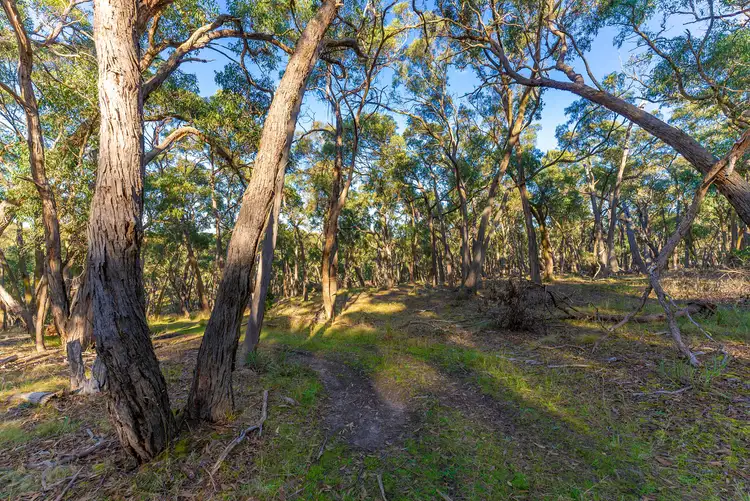 Fifth view of Homely land listing, A41 Ferrers Road, Dereel VIC 3352