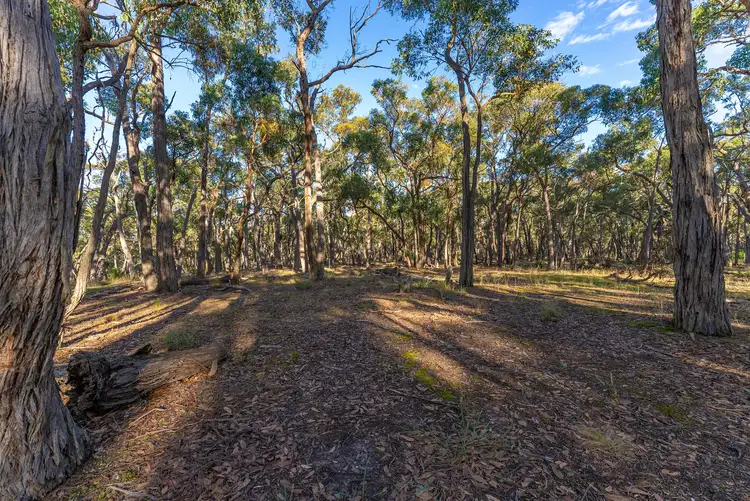 Sixth view of Homely land listing, A41 Ferrers Road, Dereel VIC 3352