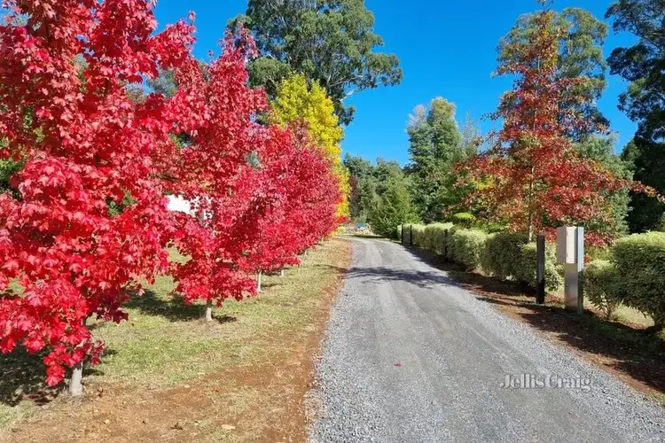 Third view of Homely unit listing, 16A Falls Road, Marysville VIC 3779