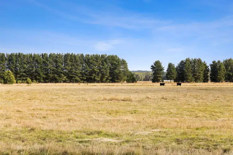 Sixth view of Homely rural property listing, 88 Horsecrafts Road, Lal Lal VIC 3352